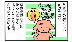 さんたとポレの後ろ足日記 第5回 逃げ足が速い理由