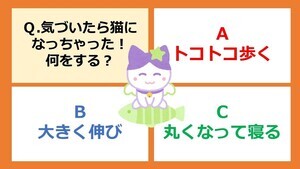 章月綾乃の【運勢を切り開く心理テスト】 第83回 【心理テスト】気づいたら、猫になっていた!? 何をしていた? - 三択でわかる「ダウナー気分のアゲ方」