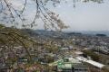 東京から一時間の田舎暮らし! 「湘南番外地スローライフ」 第1回 吾妻山にて桜と富士の春景色を楽しむ