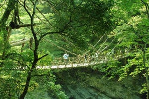 旅行に行ったら訪れないとソンな場所 第1回 スリル満点!　徳島県三好市にある高さ14メートルの「かずら橋」