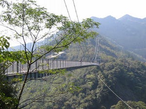 観光で行きたい全国の穴場スポット 第4回 国内最大級の照葉樹林をダイレクトに感じられる歩くつり橋「照葉大吊橋」