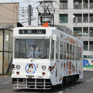 鉄道写真コレクション(158) 岡山電気軌道の人気車両「たま電車」に「猫耳」が付いた! | マイナビニュース