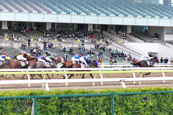 飲んだり食べたり遊んだり! 競馬場の歩き方(19) コロナ禍の競馬場、現状は? JBC当日の大井競馬場に潜入! | マイナビニュース