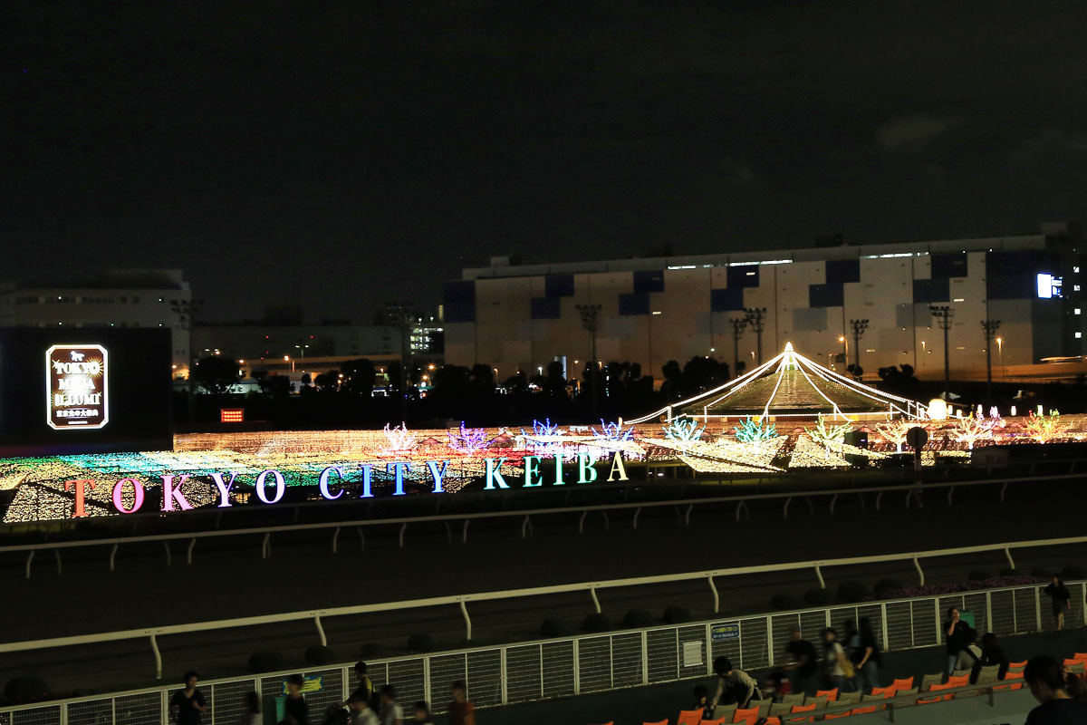 大井競馬場のメガイルミ