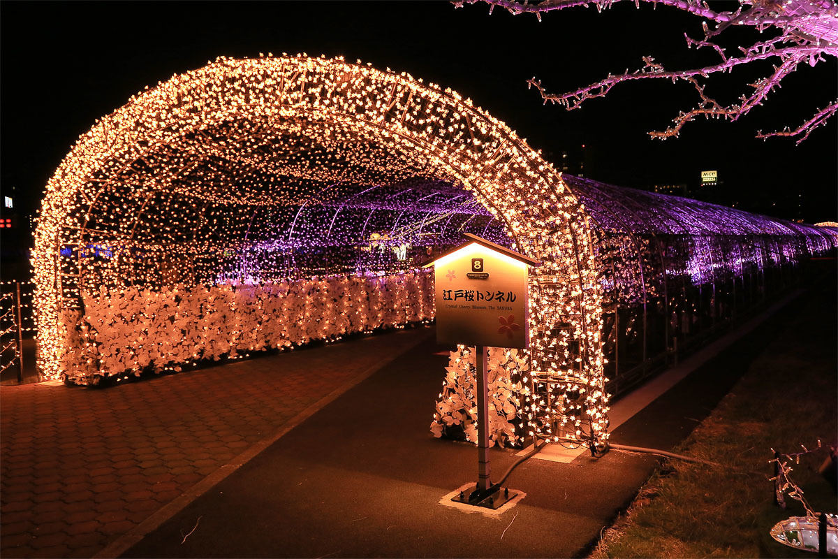 大井競馬場のメガイルミ