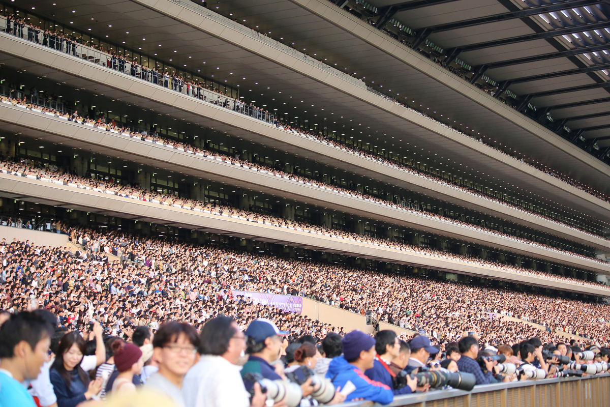 東京競馬場