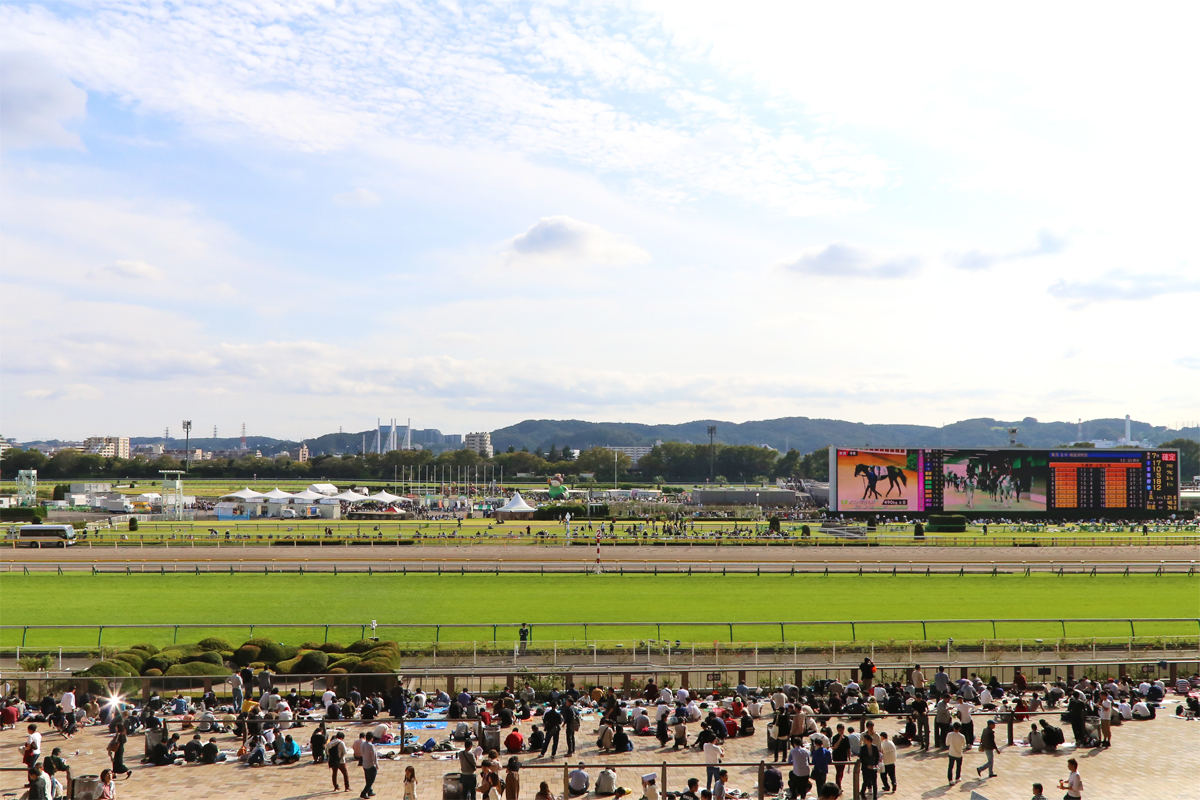 東京競馬場