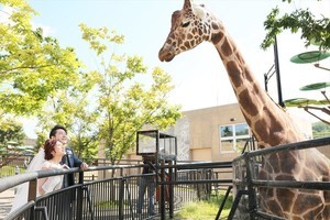 こんなとこで⁉ 意外性MAXのウエディング会場 第6回 【動物園編】生き生きとした動物たちとダイナミックな写真が残せる