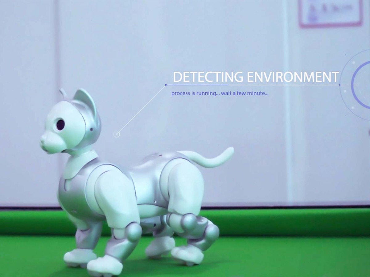 海外モバイルトピックス(305) aiboのライバル？ 猫型ロボット「Maicat