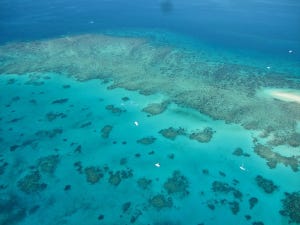 コレどーこだ!? 世界遺産クイズ 第16回 【難易度3】オーストラリアにある世界最大のサンゴ礁! この世界遺産はなんでしょう!?