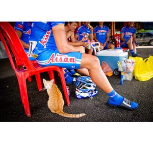 世界の自転車レースから 第37回 その猫はチームに勝利を招き寄せる!? - ツール・ド・ランカウイ2012