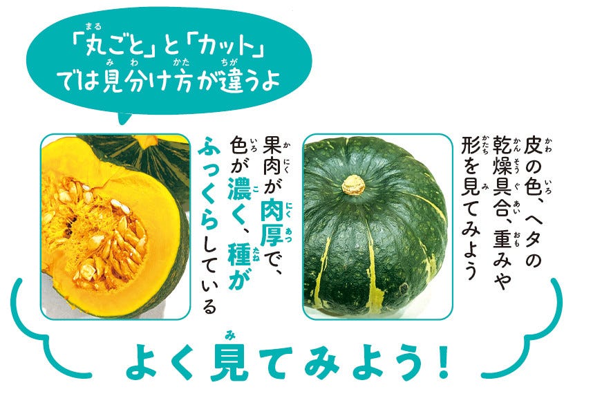 おいしい野菜まるみえ図鑑 第3回 新鮮なカボチャと古いカボチャ