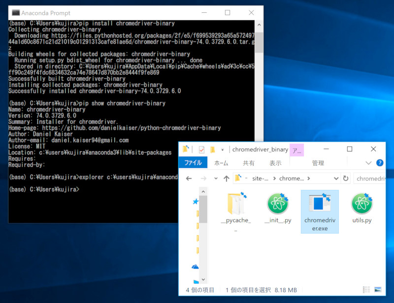 pip showでインストールパスが確認できる