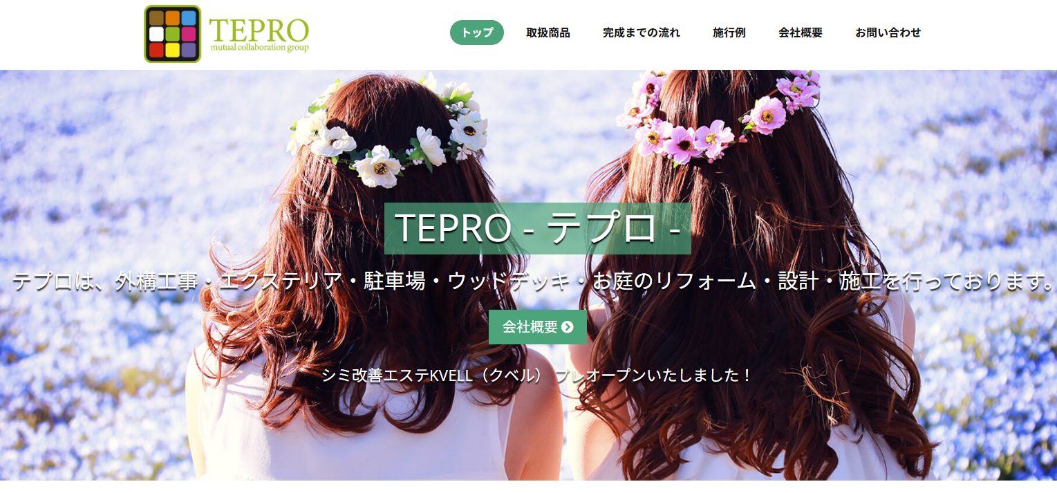 TEPRO
