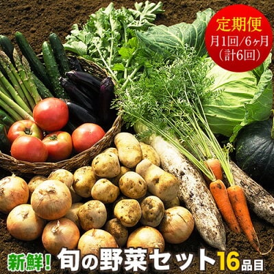 旬の新鮮野菜たっぷり16品セット（6回）
