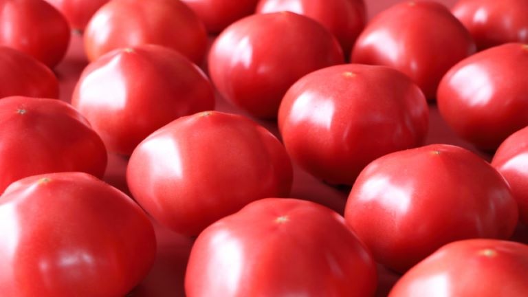 最新版】ふるさと納税 トマトのコスパランキング！トマトジュース・定期便も！ | マイナビふるさと納税