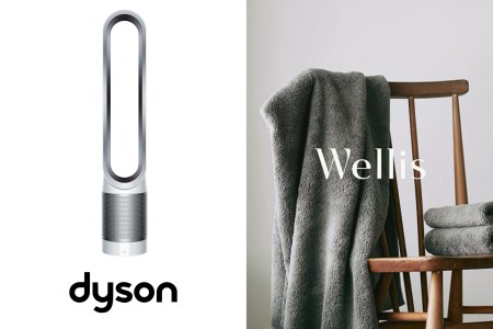 【Wellis×dyson】 Wellis Dyson Pure Cool Link™ 空気清浄機能付タワーファン