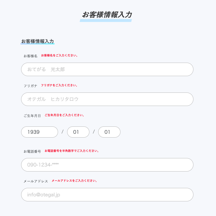 おてがる光 申込みフォーム お客様情報入力
