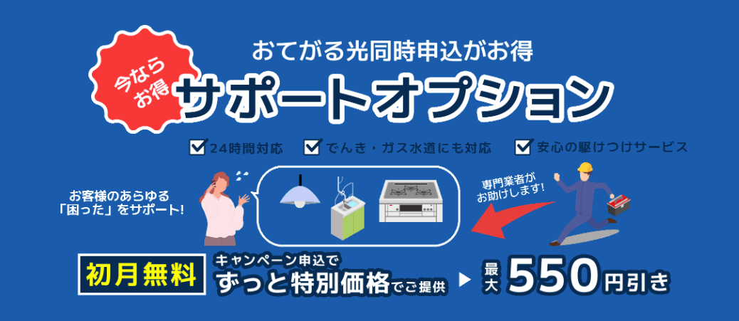 おてがる光 サポートオプション