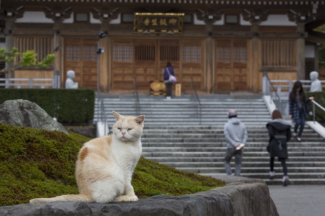 御誕生寺