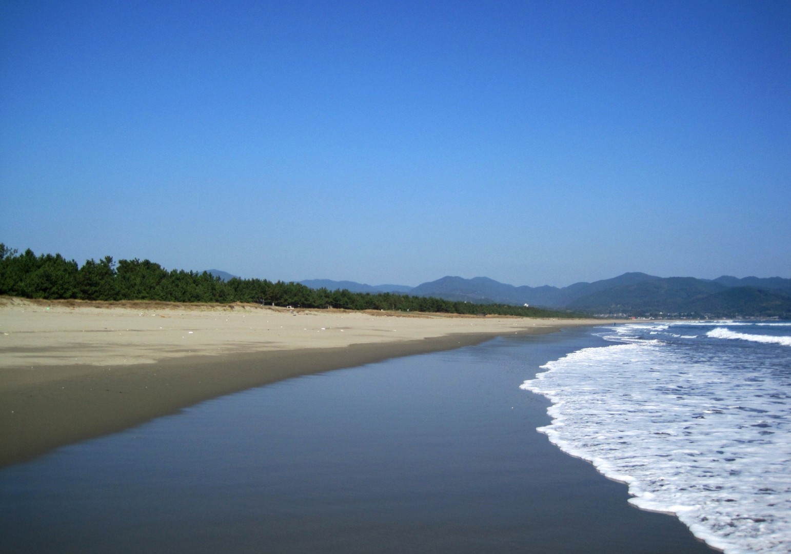 砂浜美術館