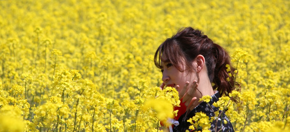 菜の花まつり