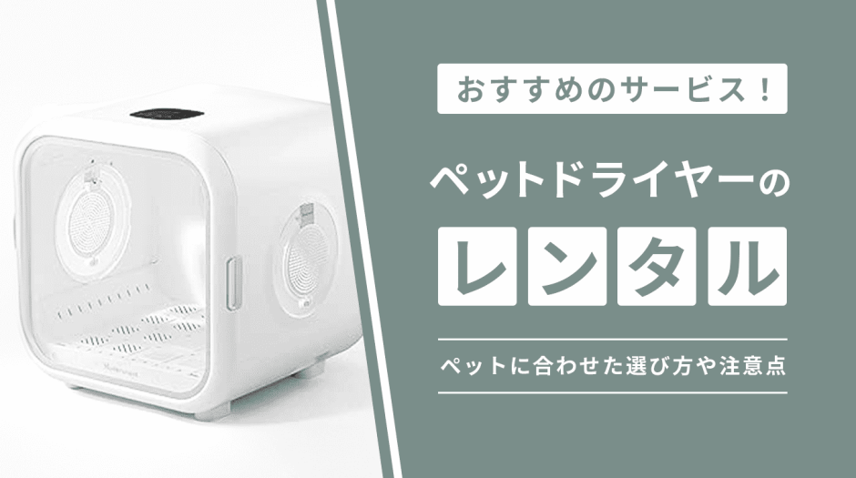 ペットドライヤー レンタル のアイキャッチ