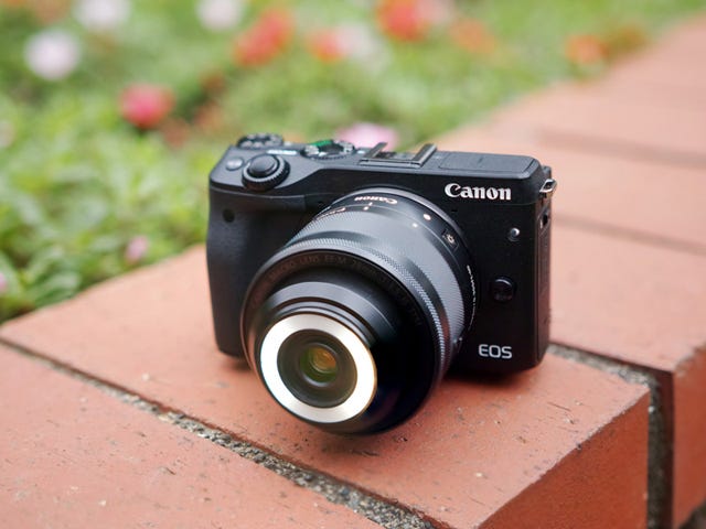 キヤノン「EOS M3」でマクロレンズを使いこなす - 「EF-M28mm F3.5 