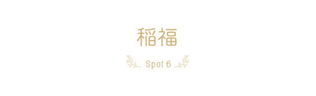 Spot6