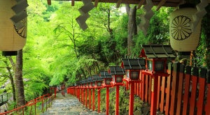 青もみじの季節限定の御朱印に注目! 涼やかに青々と輝く季節に京都へ行こう