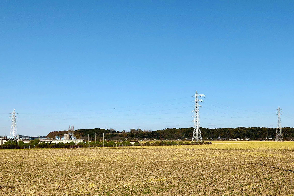 佐倉市の景色