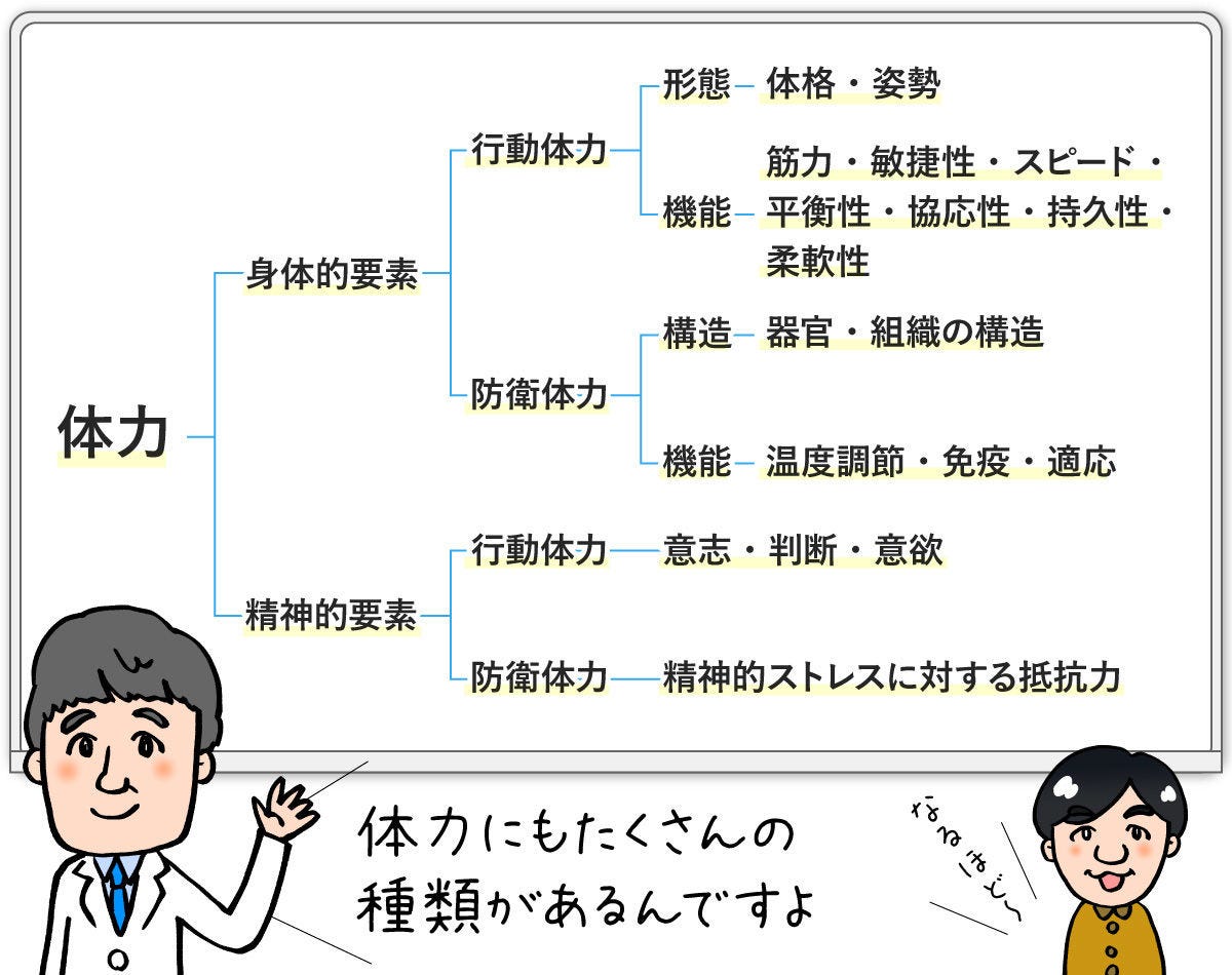 体力とやる気の関係とは 大学教授に聞く 生きる力 の鍛え方 マイナビニュース