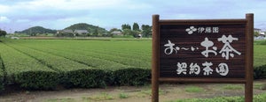 おいしさと茶カテキンのチカラで日本を元気に応援 - 伊藤園の、持続可能な社会・環境に向けた取り組み