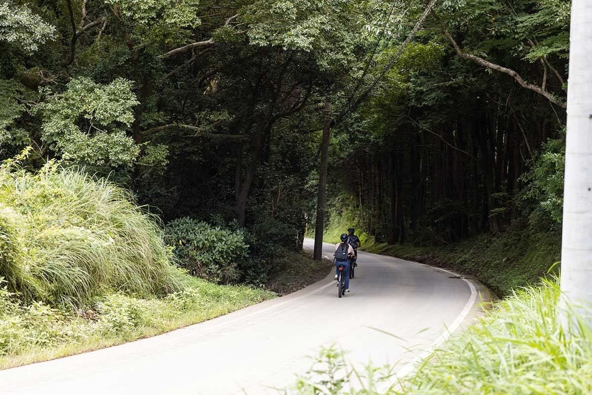 爽快感がクセになる自転車での山下り