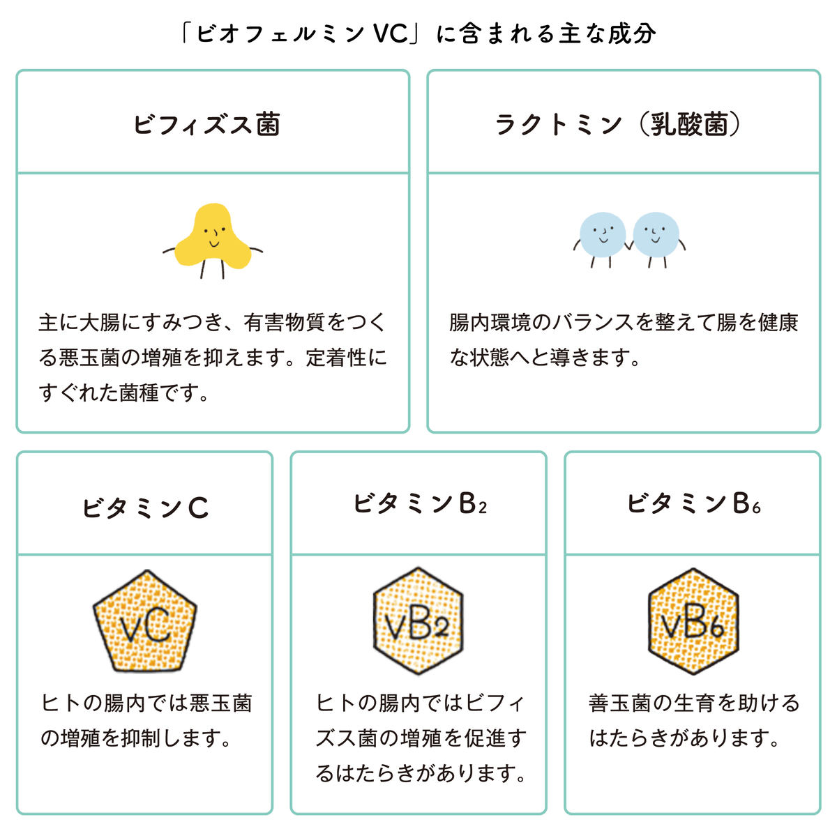 5種類の成分