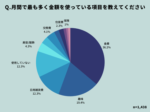 Visaデビット月間で最も多く金額を使っている項目