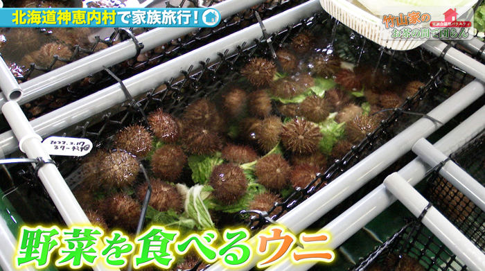 竹山家のお茶の間で団らん