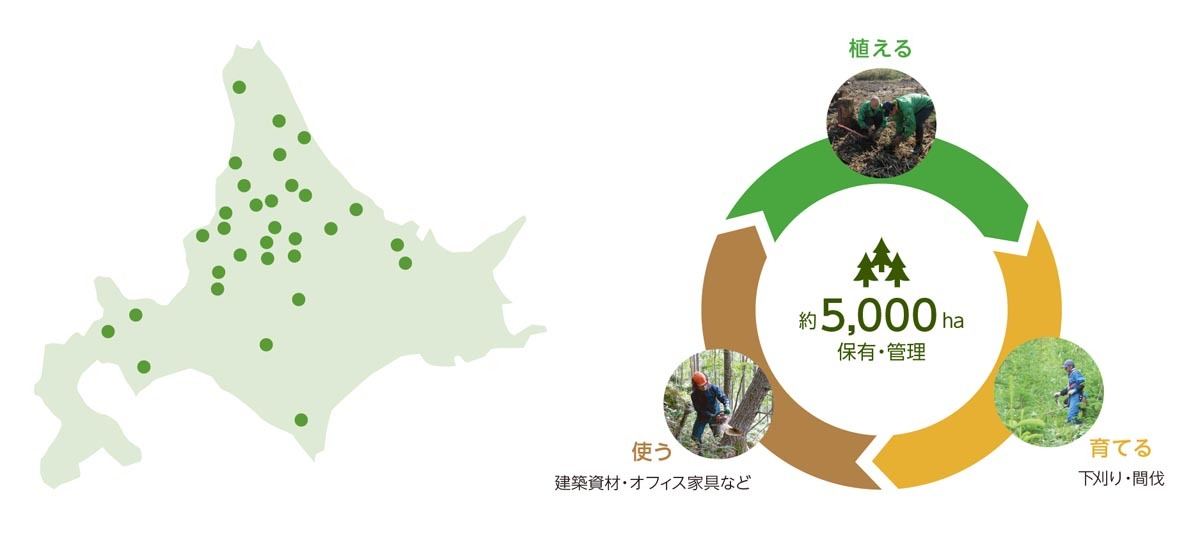 三井不動産グループ保有林の位置と、「植える」「育てる」「使う」のサイクル