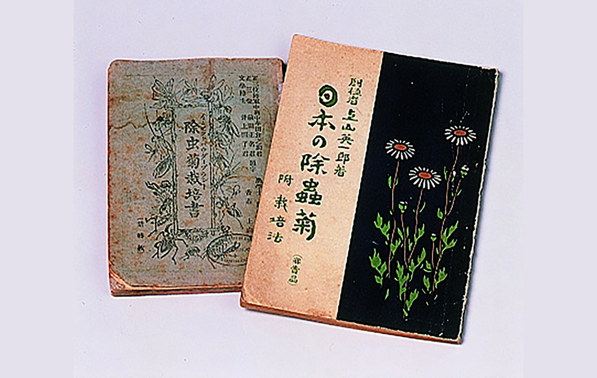 除虫菊栽培書