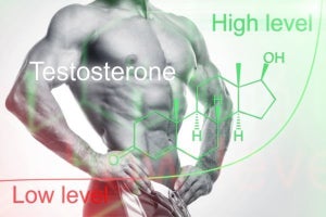 テストステロンが高い男の特徴11個と低い男の特徴10個​