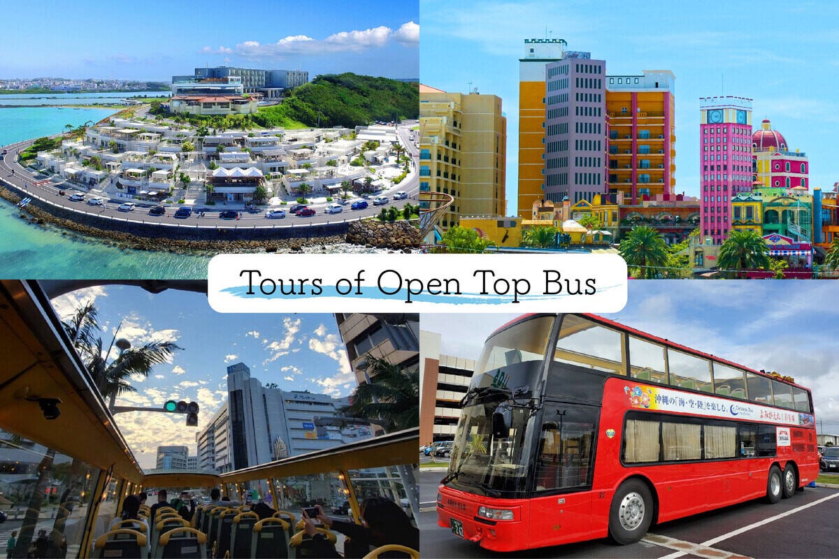 沖縄県を車なしで気軽に観光！知られざるマル秘スポットも楽しめる「オープントップバス」の魅力とは | マイナビニュース