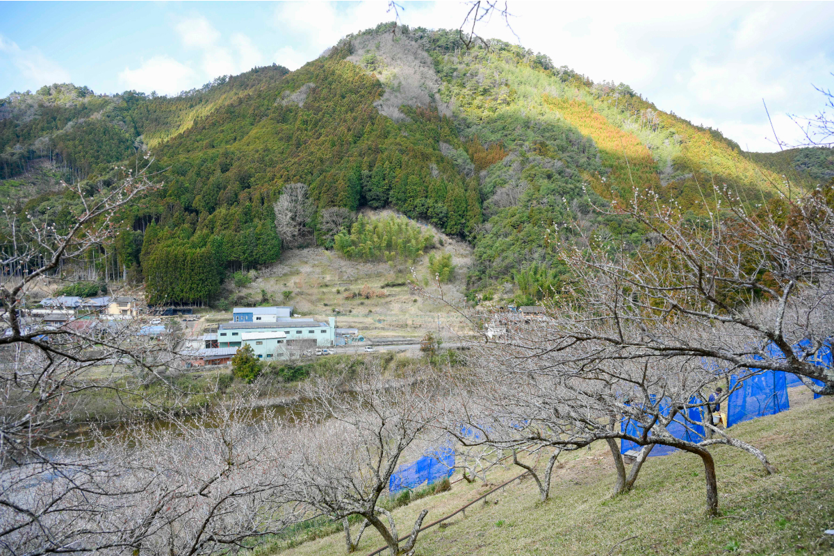 日高川