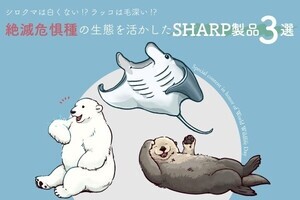 絶滅危惧種の意外な生態をお手本にしたシャープ製品3選