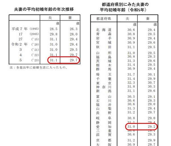 総務省統計の愛知県の平均初婚年齢データ