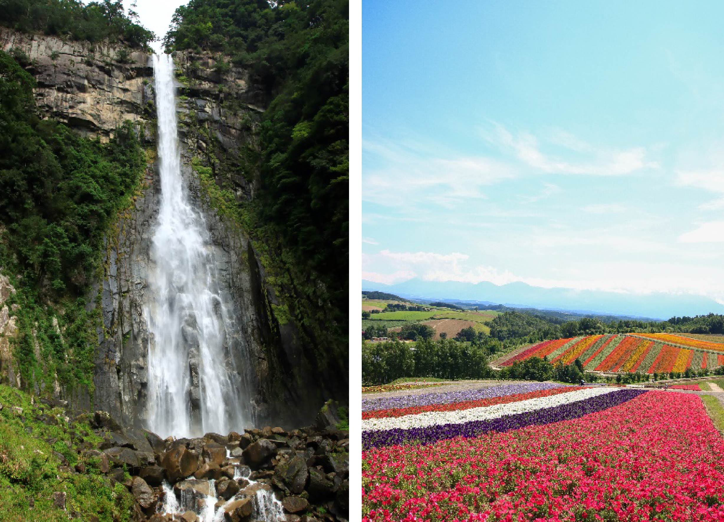 左から和歌山県「那智の滝」、北海道「四季彩の丘」