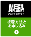 アニマルプラネット