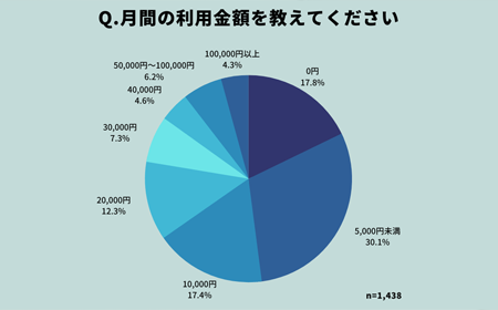 Visaデビット利用調査