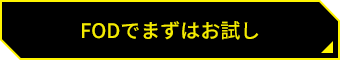 FODでまずはお試し