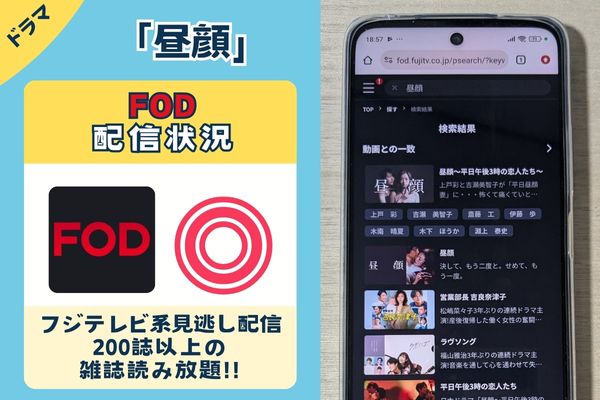 ドラマ「昼顔」FOD配信状況