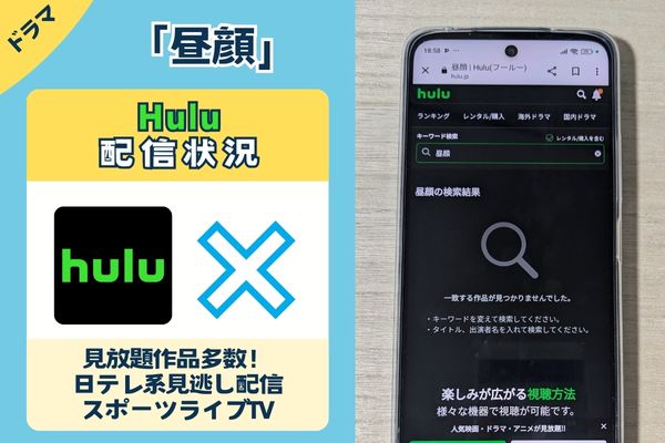 ドラマ「昼顔」のHulu配信状況